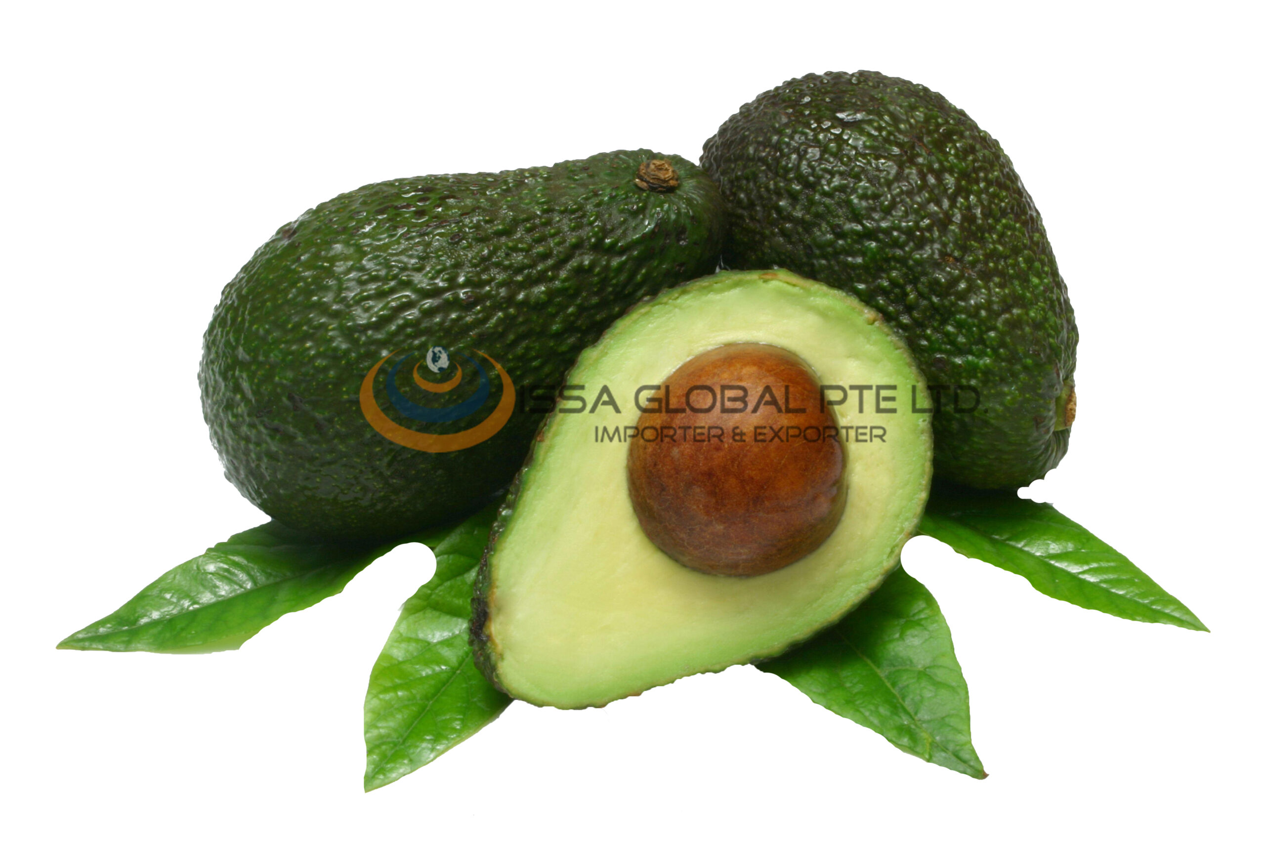 AVOCADOES