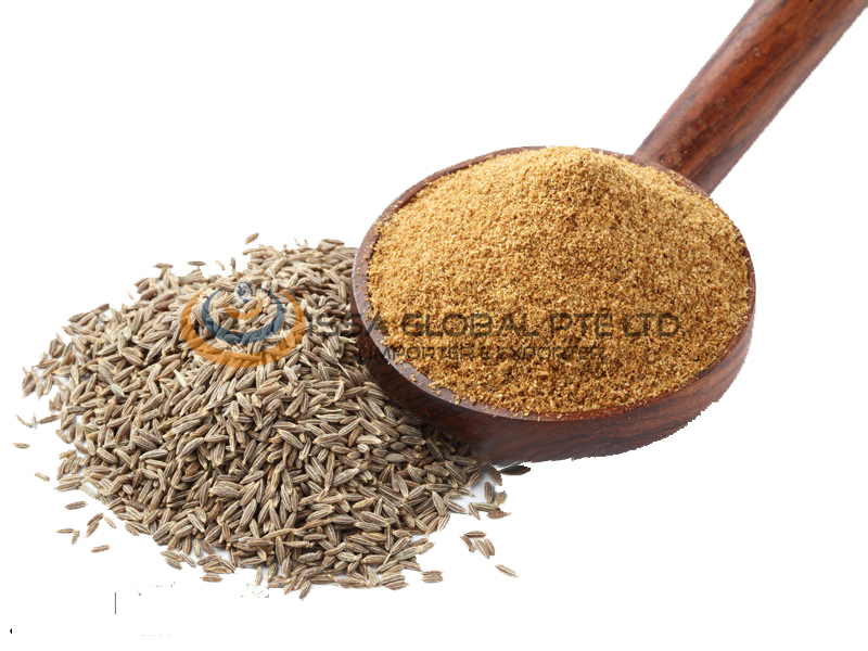 CUMIN POWDER