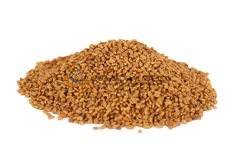 FENUGREEK SEED