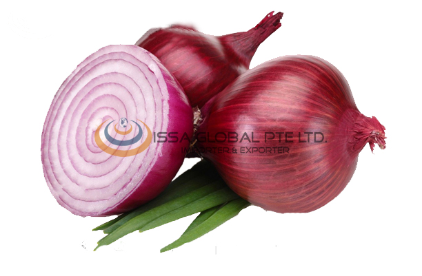 Onion