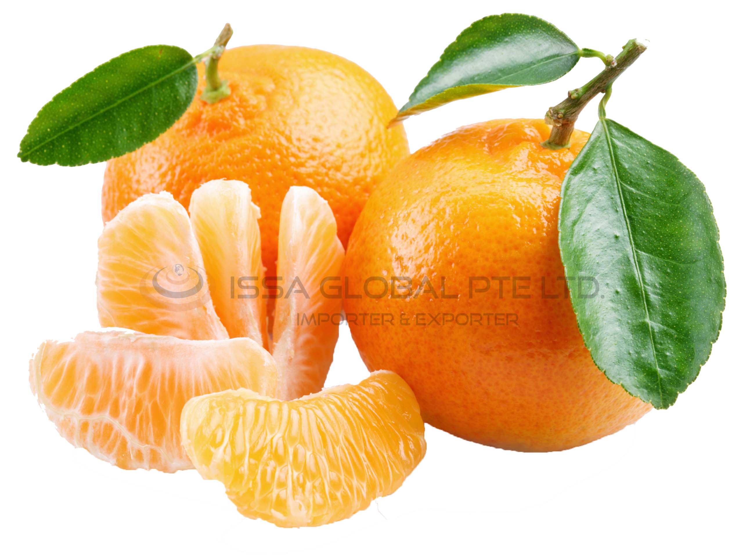 Tangerine with segments on a white background