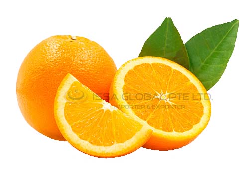 Whole, cross section and quarter of fresh organic navel orange with leaves in perfect shape on white isolated background, clipping path. Orange have vitamin c, sweet and delicious. Fresh fruit concept